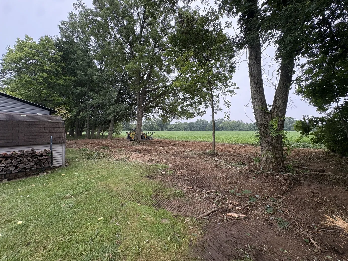 The same woods edge after brush removal, ground mulched clean up to the kept trees