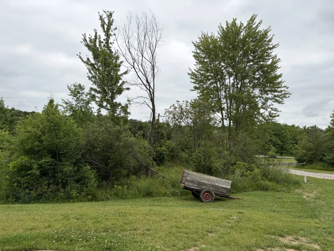Brush Hogging in Mansfield, OH