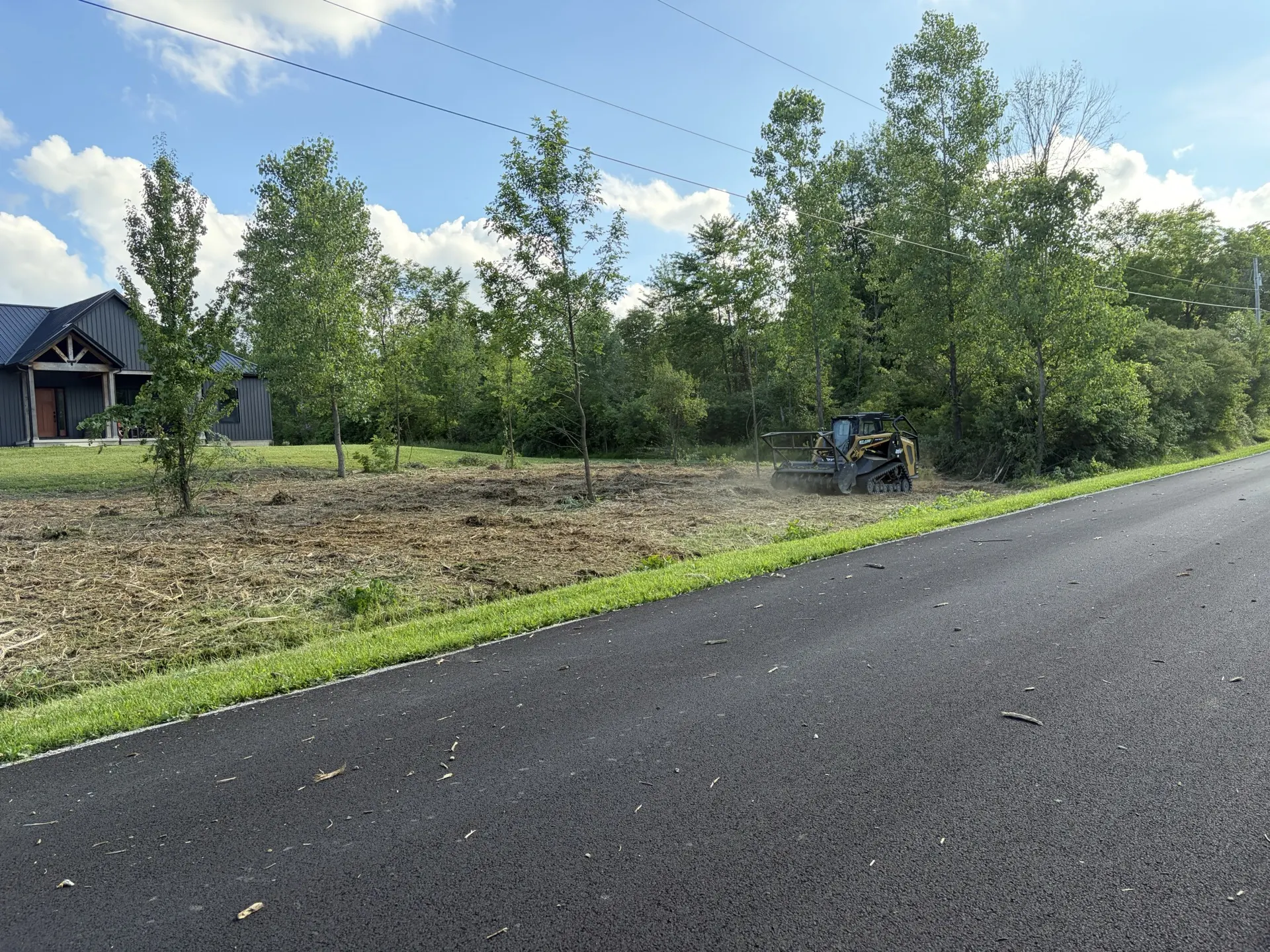 Forestry mulcher clearing an overgrown treeline along a rural Ohio road