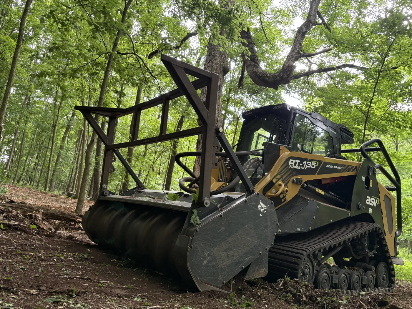 Tracked ASV RT-135 forestry mulcher working between hardwoods on a mulched forest floor