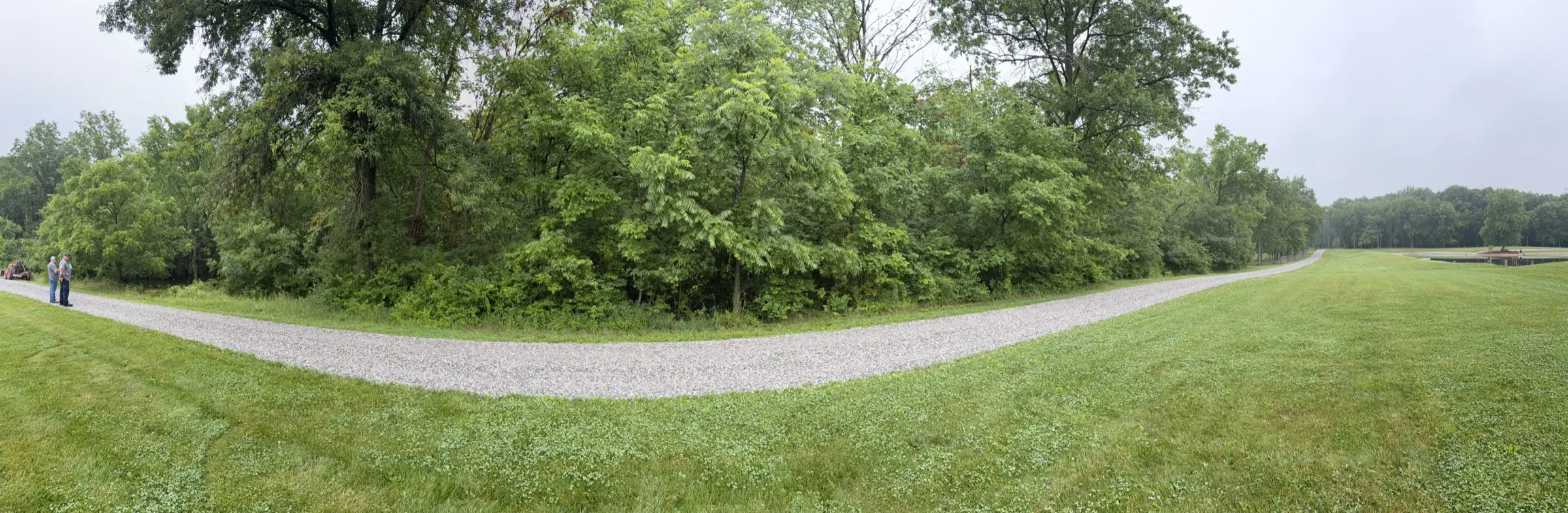 Fence Line Clearing in Mansfield, OH