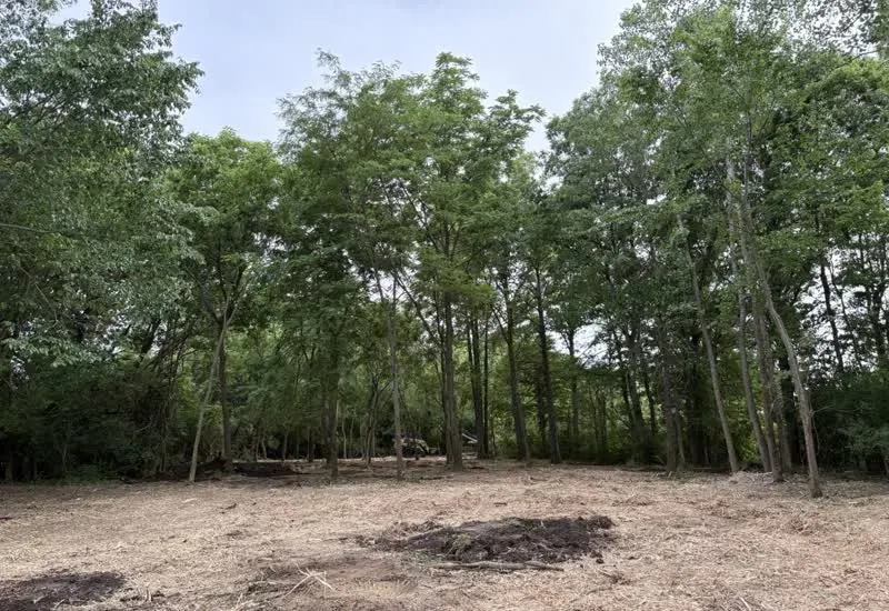 Lot Clearing in Mansfield, OH
